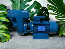 Bơm ly tâm tự mồi Cospet DIG-T 50-1.5